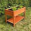 Wooden Garden Raised Herb Growing Planter with Two Liners