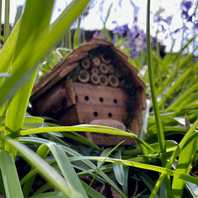 Wooden Hanging Insect, Bug and Bee Hotel