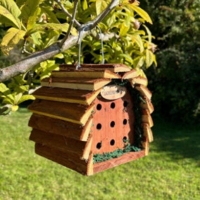 Wooden Hanging Ladybird & Insect House