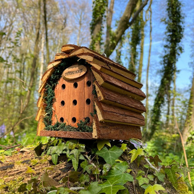 Wooden Hanging Ladybird & Insect House