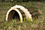 Wooden Hedgehog house Garden Shelter
