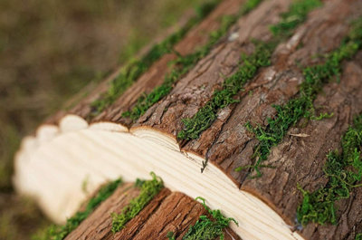 Wooden Hedgehog house Garden Shelter - 5