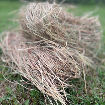 Wooden Hedgehog House Hogitat With Bark Roof & Nesting Straw - 6