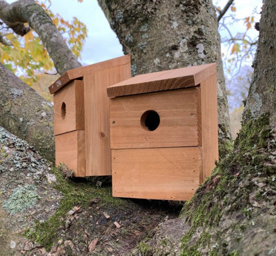 Wooden Multi-Hole Wild Bird Classic Nest Birdhouse Boxes (Set of 4) - 3