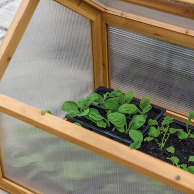 Wooden Outdoor Cold Frame Grow House Polycarbonate Shelter for Garden Vegetables & Plants - 3