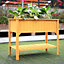 Wooden Raised Garden Bed Planter with  Greenhouse Plant Growth Box and Storage Shelf