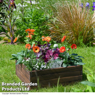 Wooden Raised Garden Planter Treated Fir Wood Outdoor Flower Trough Herb Vegetable Bed Bottomless  (2 x Small 60x60cm)