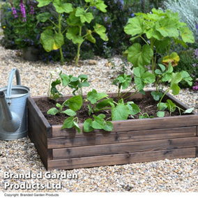Wooden Raised Garden Planter Treated Fir Wood Outdoor Flower Trough Herb Vegetable Bed (Medium 80x60cm)