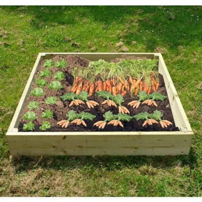 Wooden Raised Veg Beds Pack of 2 - 1m x 1m