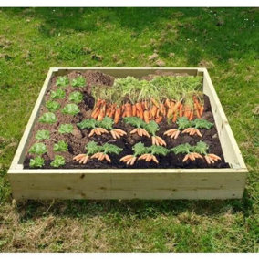Wooden Raised Veg Beds Pack of 2 - 1m x 1m