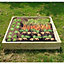 Wooden Raised Veg Beds Pack of 3 - 1m x 1m