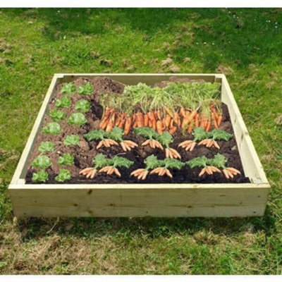 Wooden Raised Veg Beds Pack of 3 - 1m x 1m