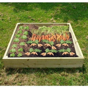 Wooden Raised Veg Beds Pack of 3 - 1m x 1m