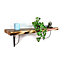 Wooden Rustic Shelf with Bracket TRAMP 170mm 7 inches Burnt Length of 170cm