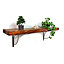 Wooden Rustic Shelf with Bracket TRAMP 170mm 7 inches Teak Length of 50cm