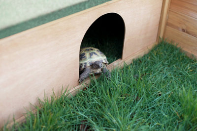 Wooden Small Pet House for Tortoise/Guinea Pig Hide Shelter with Run - 8