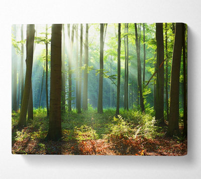 Woodland Blues And Greens Canvas Print Wall Art - Medium 20 x 32 Inches