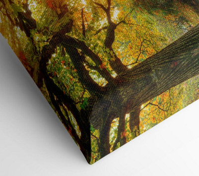 Woodland Bridge Autumn Tranqulity Canvas Print Wall Art - Medium 20 x 32 Inches