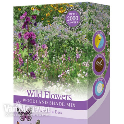 Woodland Garden Wildflower Seeds - Bees & Butterflies, Foxgloves, Borage, Forget Me Nots - Suitable for Shady Areas