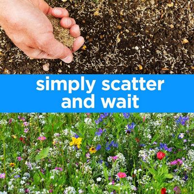 Woodland Garden Wildflower Seeds - Bees & Butterflies - 3
