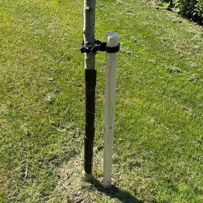 Woodside Garden Fruit Tree Sapling/Shrub Support Stake Pack with Tie ...