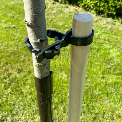 Woodside Garden Fruit Tree Sapling/Shrub Support Stake Pack with Tie ...