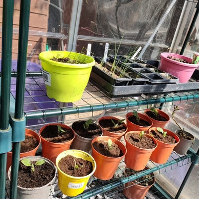 Woodside Greenhouse Shelving 2 Pack - 3