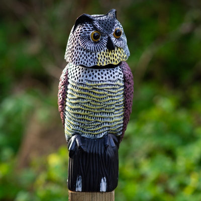 Woodside Owl With Rotating Head