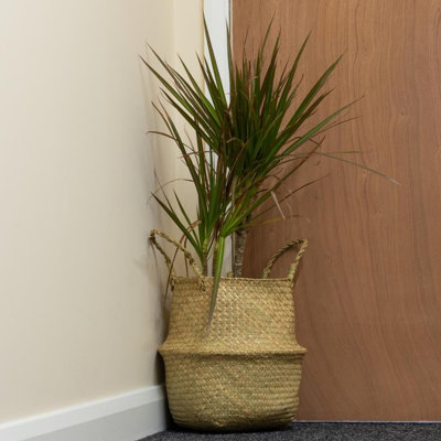 Woodside Seagrass Belly Basket PACK OF 2 - LARGE - 5