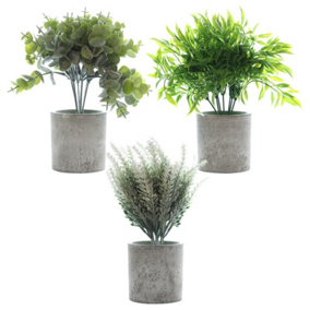 Woodside Set of 3 Artificial Potted Plants - Design C