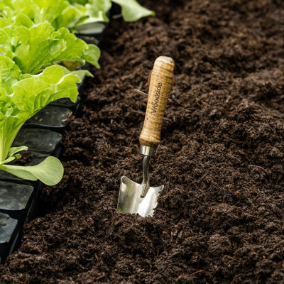 Woodside Stainless Steel Garden Transplanting Trowel - 6