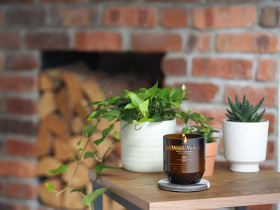 WoodWick Ginger & Tumeric Renew Medium Candle