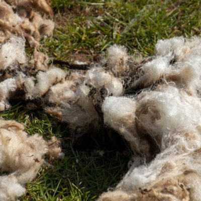 Wool Compost For Seeds  (12 Litre) - 4