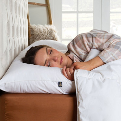 Wool Pillow with 100 Cotton Cover 4 Pack DIY at B Q