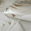 World of Wallpaper Melany Rose Wallpaper Ivory Cream AF0015
