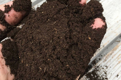 Wormganix 1 Litre Bucket Premium Worm Castings Vermicompost Organic Moist Fresh - 3