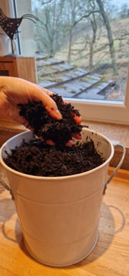 Wormganix Fine Composted bark houseplant potting & growing peat free compost 5 L
