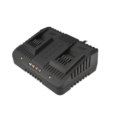 WORX WA3772 20V 2Ah Dual Port Charger DIY at B Q