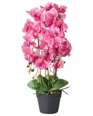 Wyld and Coco 65cm Artificial Pink Orchid in Decorative Pot - Realistic ...