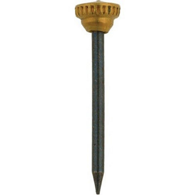 X Br Headed Picture Pins Br/Grey (One Size)