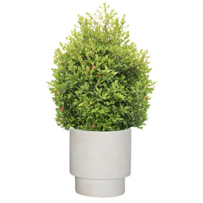 X-Large Beige Fibre Clay Indoor Outdoor Summer Flower Plant Pot Houseplant Garden Planter