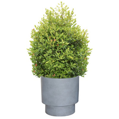 X-Large Light Grey Fibre Clay Indoor Outdoor Garden Planter Houseplant Flower Plant Pot