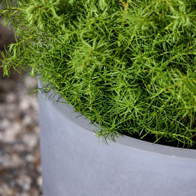 X-Large Light Grey Fibre Clay Indoor Outdoor Garden Planter Houseplant Flower Plant Pot