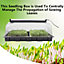 XL Propagator with Seed Tray Box 58x37cm, Full Spectrum LED Grow Light & Heat Mat - Electric Indoor Greenhouse Seedling Starter