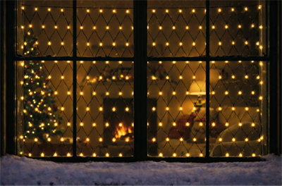 Xmas Haus 4x2m LED Net Light 320 Warm White LED Outdoor Christmas Timer ...