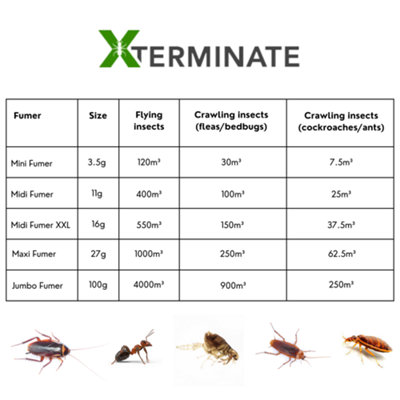 Xterminate Insect Killer Treatment Kit 2 To 3 Room, Insect killer spray ...