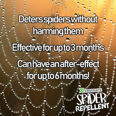 Xterminate Spider Repellent 1 Litre Super Strength Natural Peppermint Oil. Repels and Deters Spiders