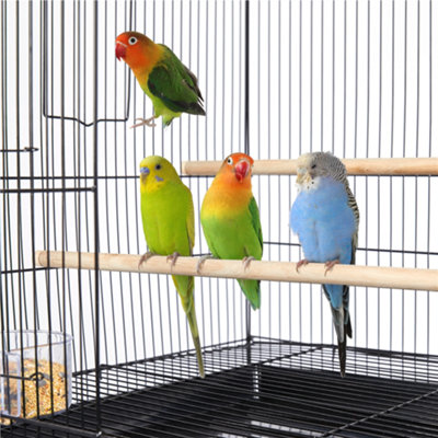 Yaheetech Black Bird Cage Flight Cage Extra Space w/ Slide-out Tray and Wood Perches - 7