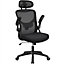Yaheetech Black Mesh Office Chair with Armrests and Headrest
