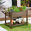 Yaheetech Dark Brown Solid Wood Elevated Garden Bed Planter Box with Removable Grow Grids